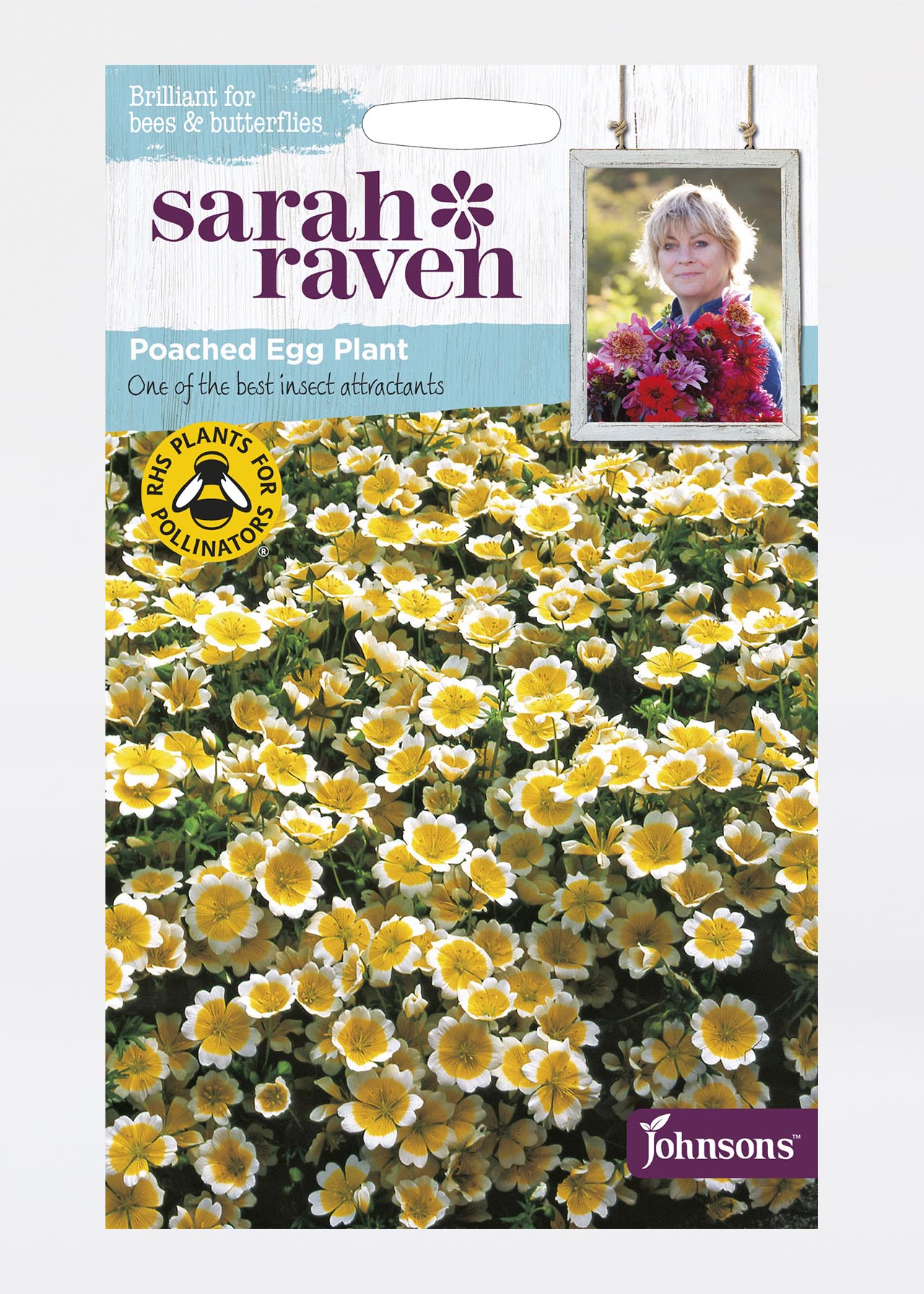 Poached Egg Plant Seeds