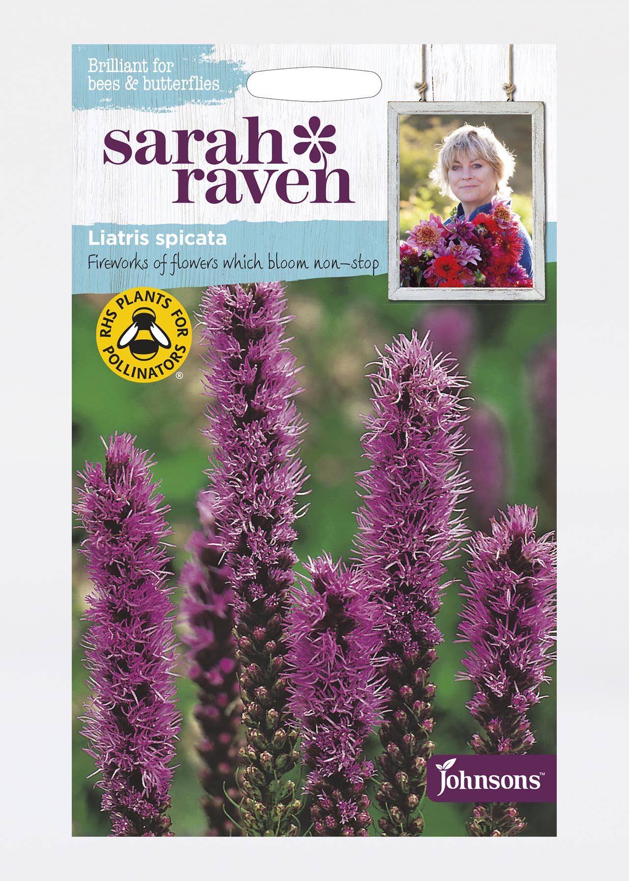 Liatris Spicata (Blazing Star) Seeds