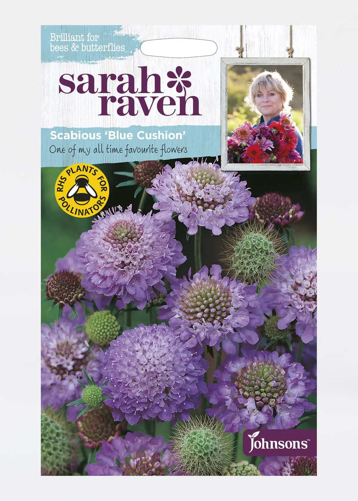 A photo of Scabious Blue Cushion Seeds