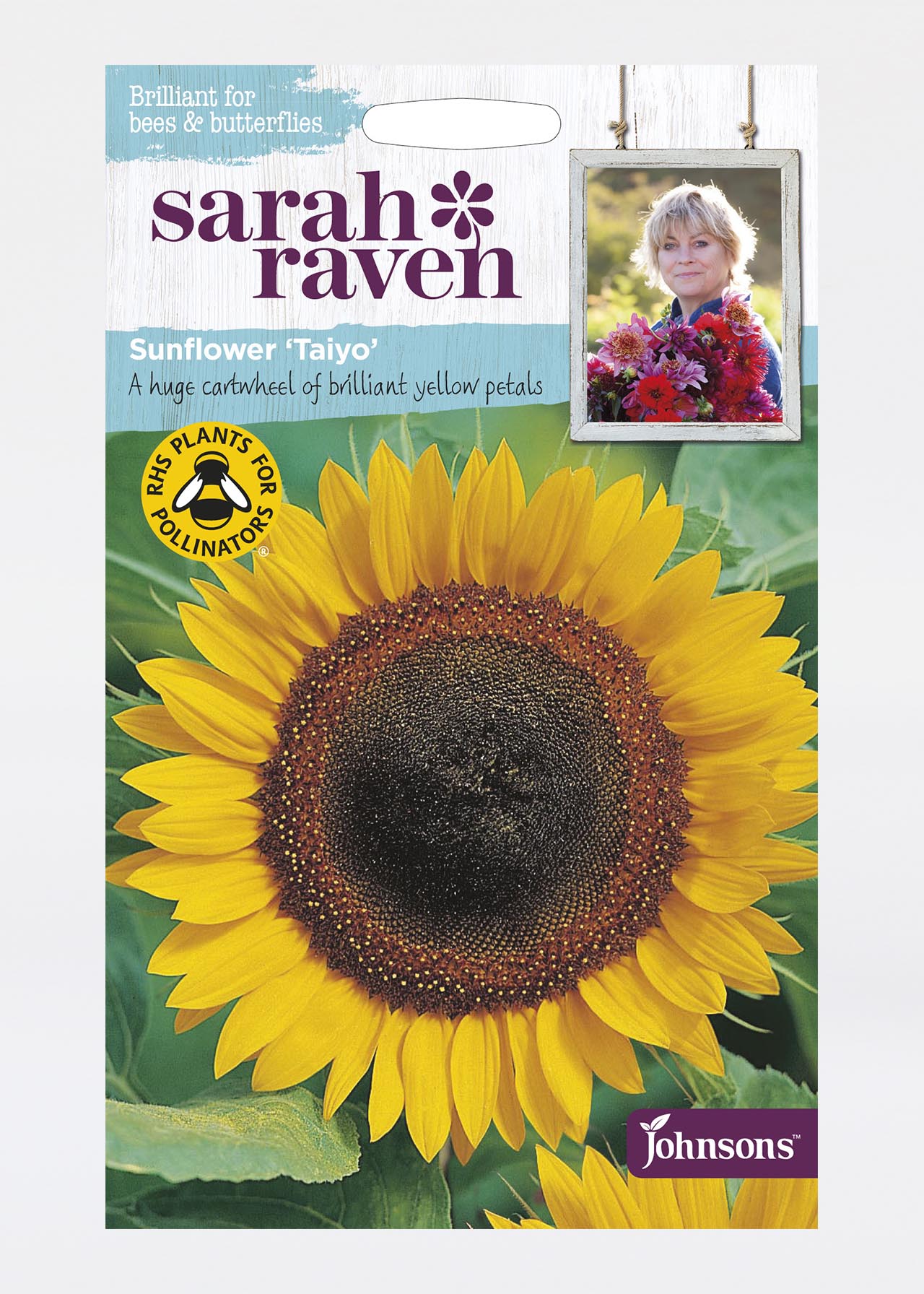 Sunflower Taiyo Seeds
