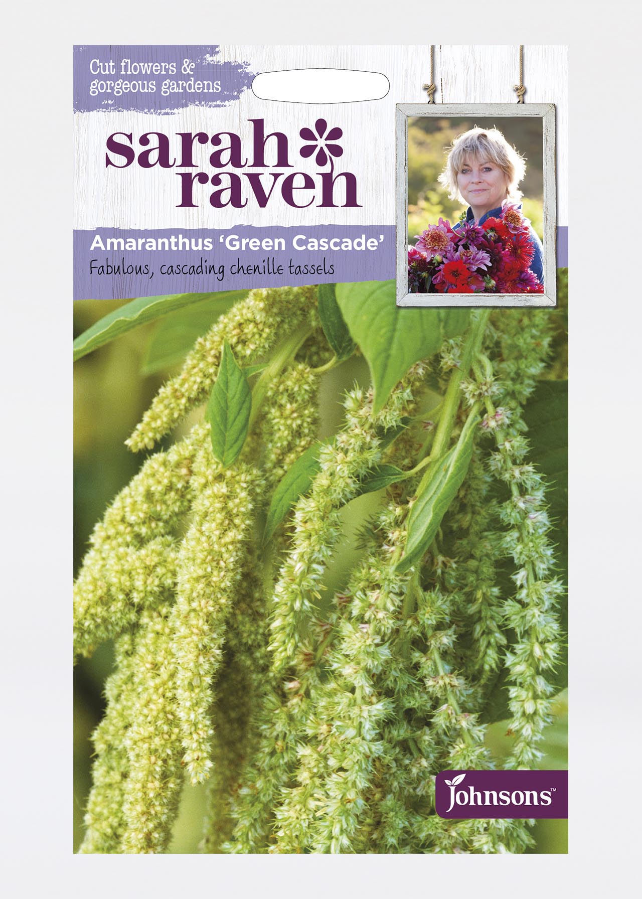 Amaranthus Caudatus Green Cascade Seeds