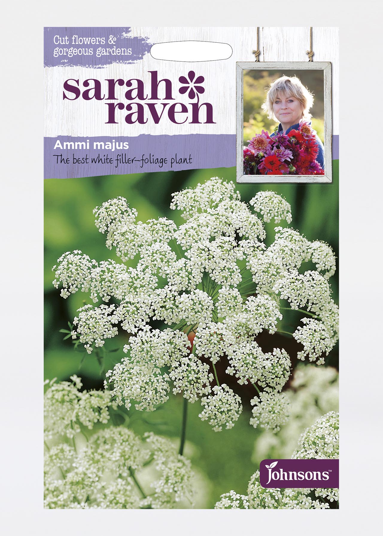 Ammi Majus Seeds