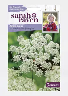 Ammi Majus Seeds