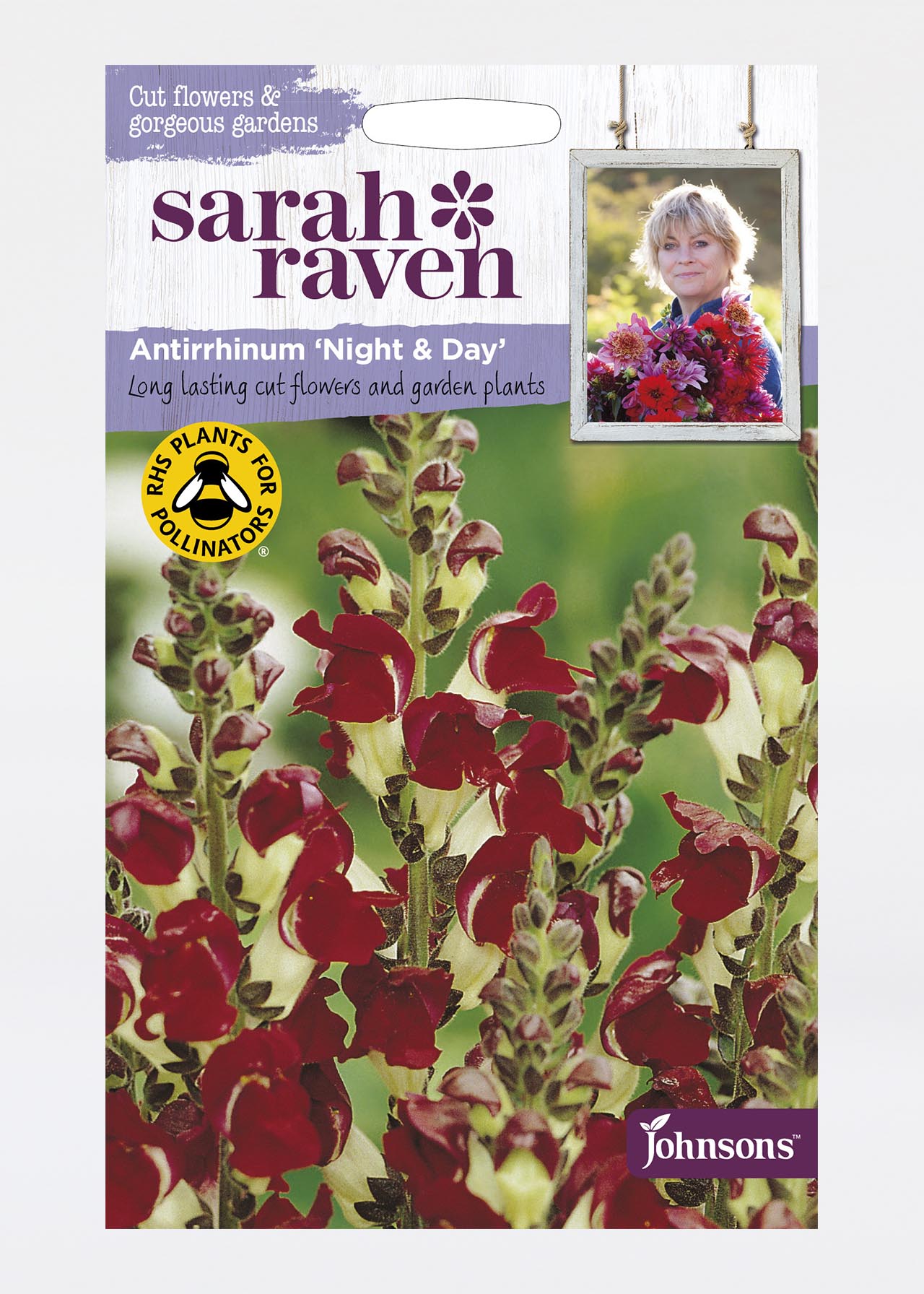 Antirrhinum Night & Day Seeds