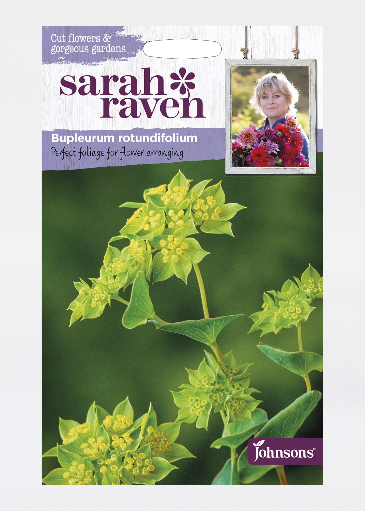 Bupleurum Rotundifolium Seeds