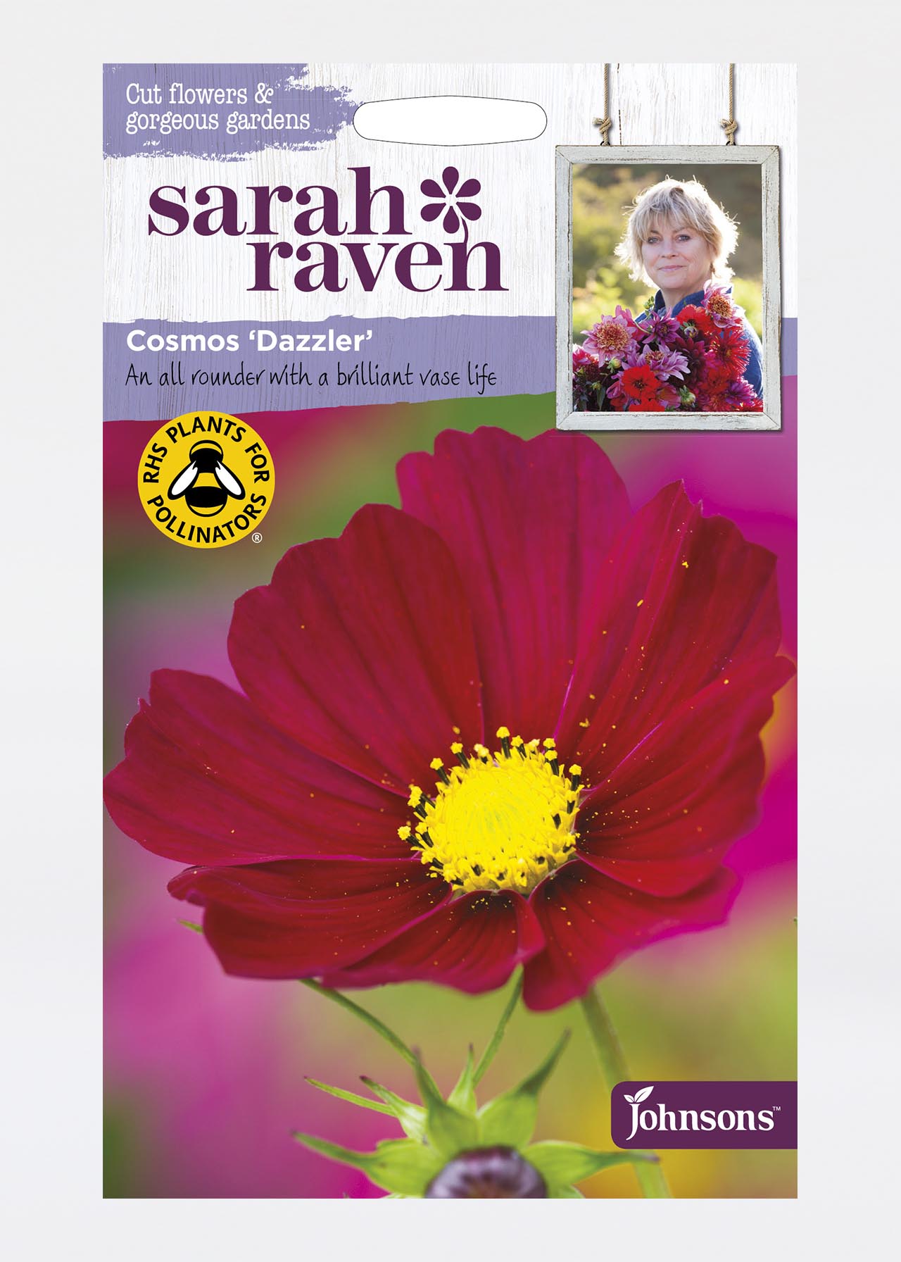Cosmos Dazzler Seeds