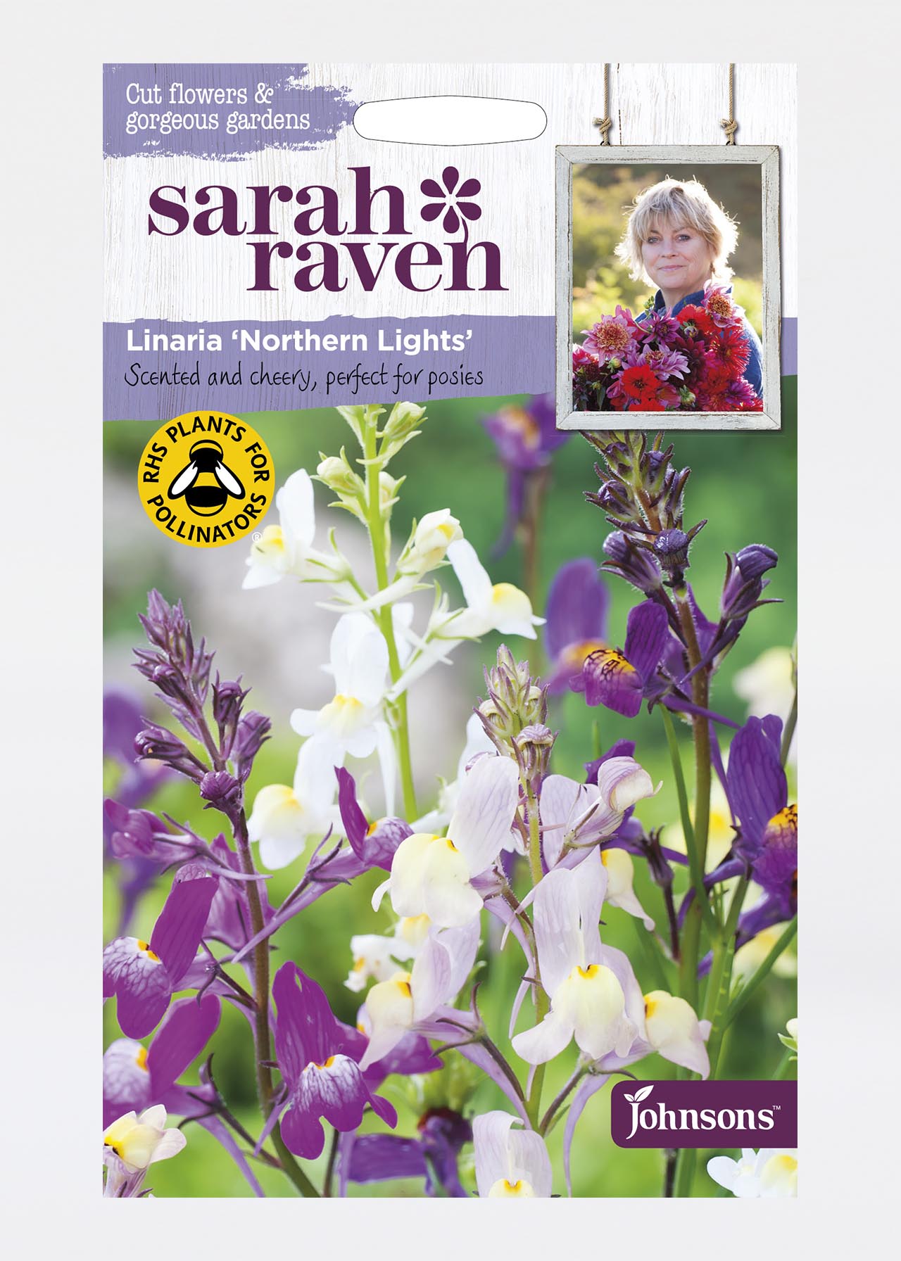 Linaria (Toadflax) Northern Lights Seeds