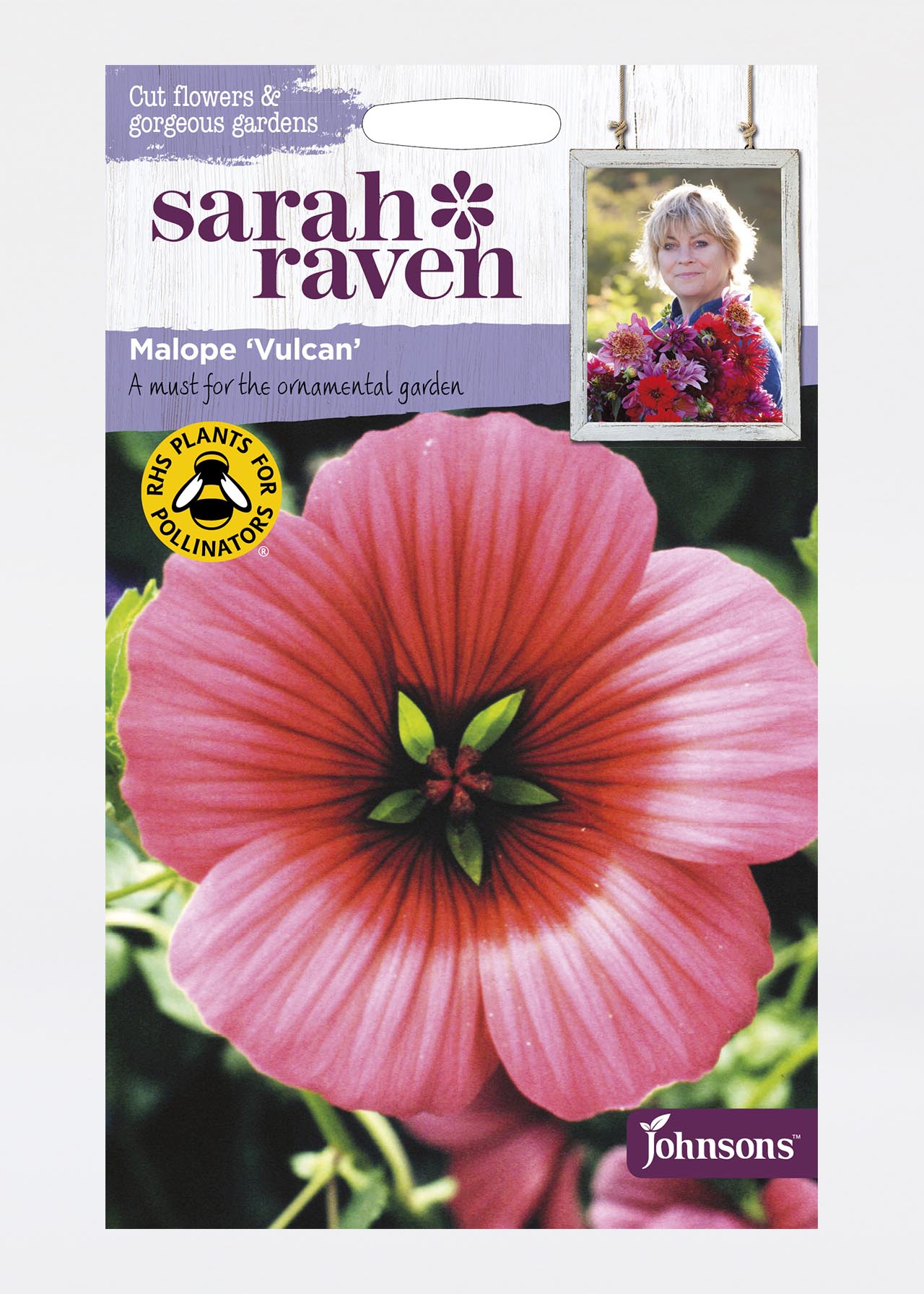 Malope Vulcan Seeds