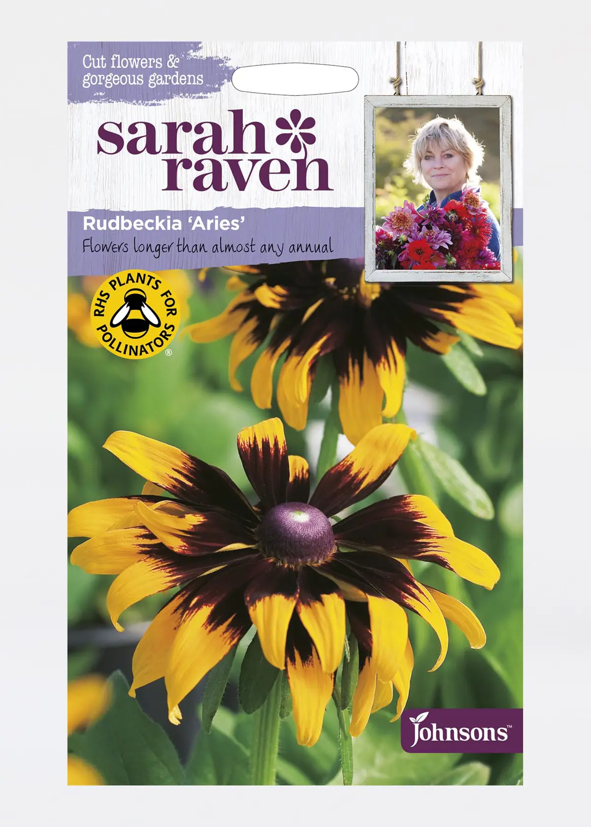 A photo of Rudbeckia Aries Seeds