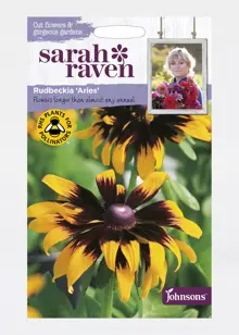 Rudbeckia Aries Seeds