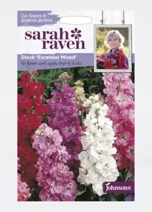 Stock Excelsior Mixed Seeds