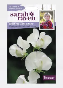 Sweet Pea April In Paris Seeds