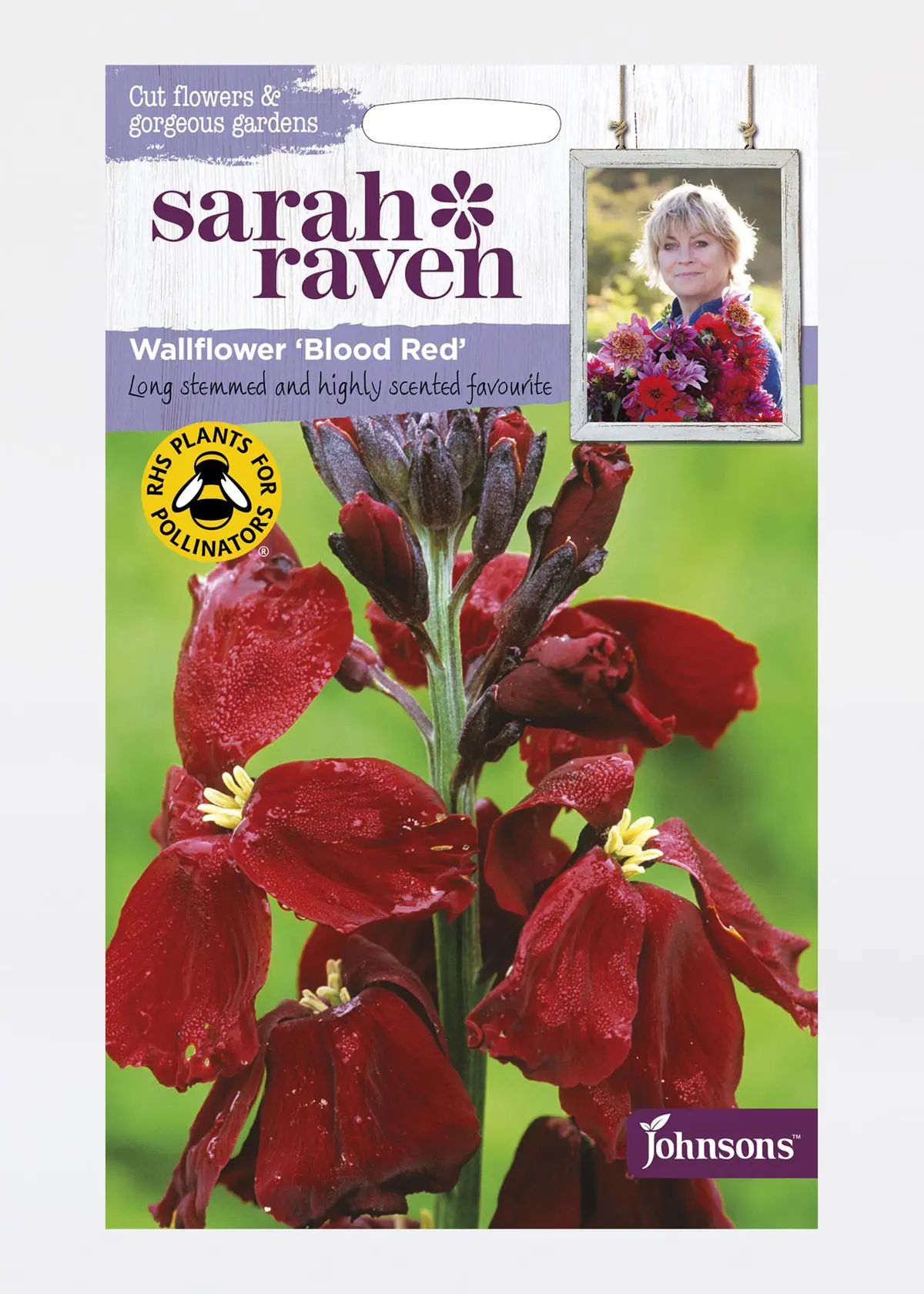 A photo of Wallflower Blood Red Seeds