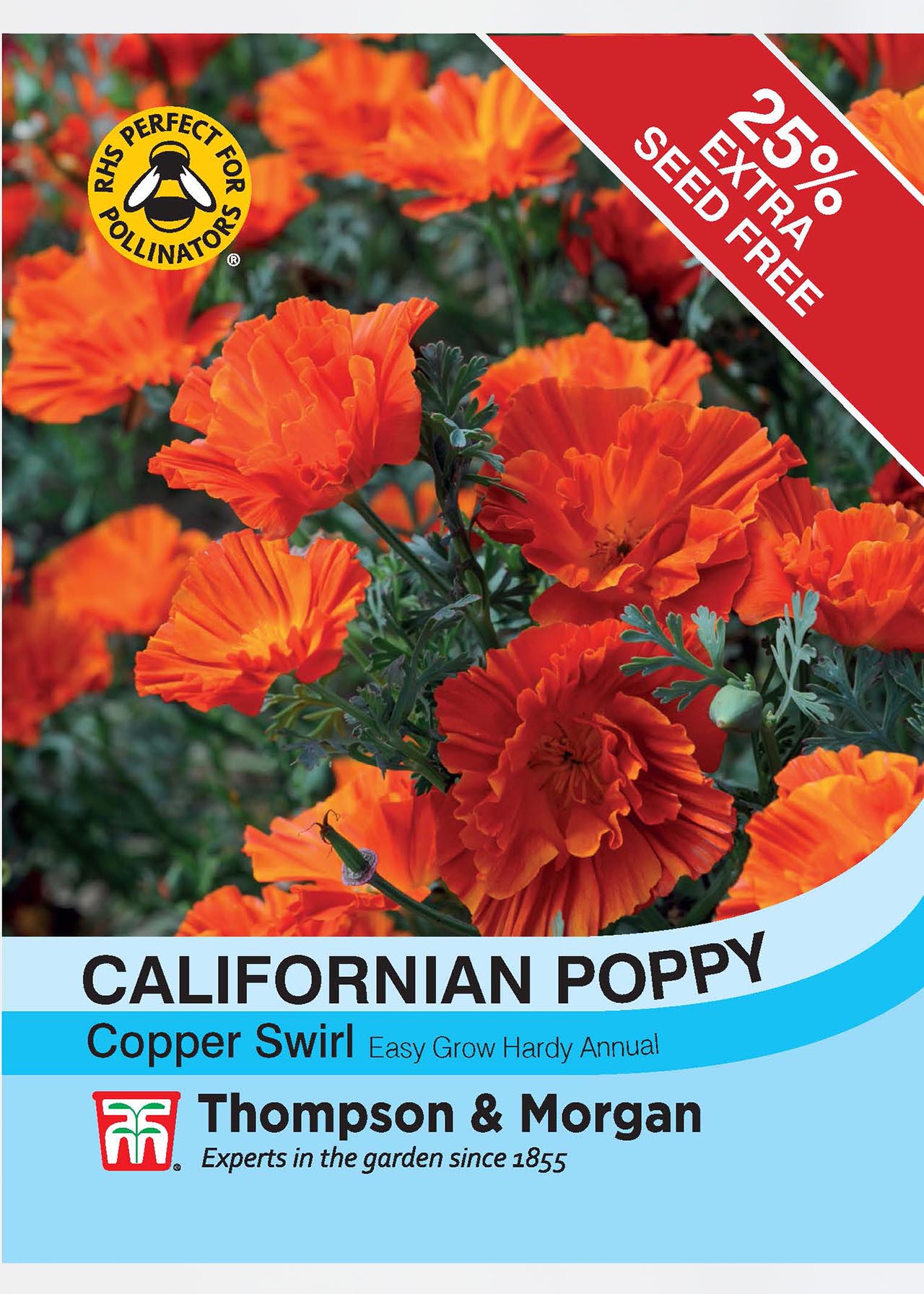 Californian Poppy Copper Swirl Seeds Dobbies Garden Centres