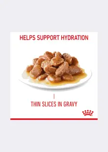 Royal Canin® Feline Ultra Light Care Cat Food in Gravy 85g