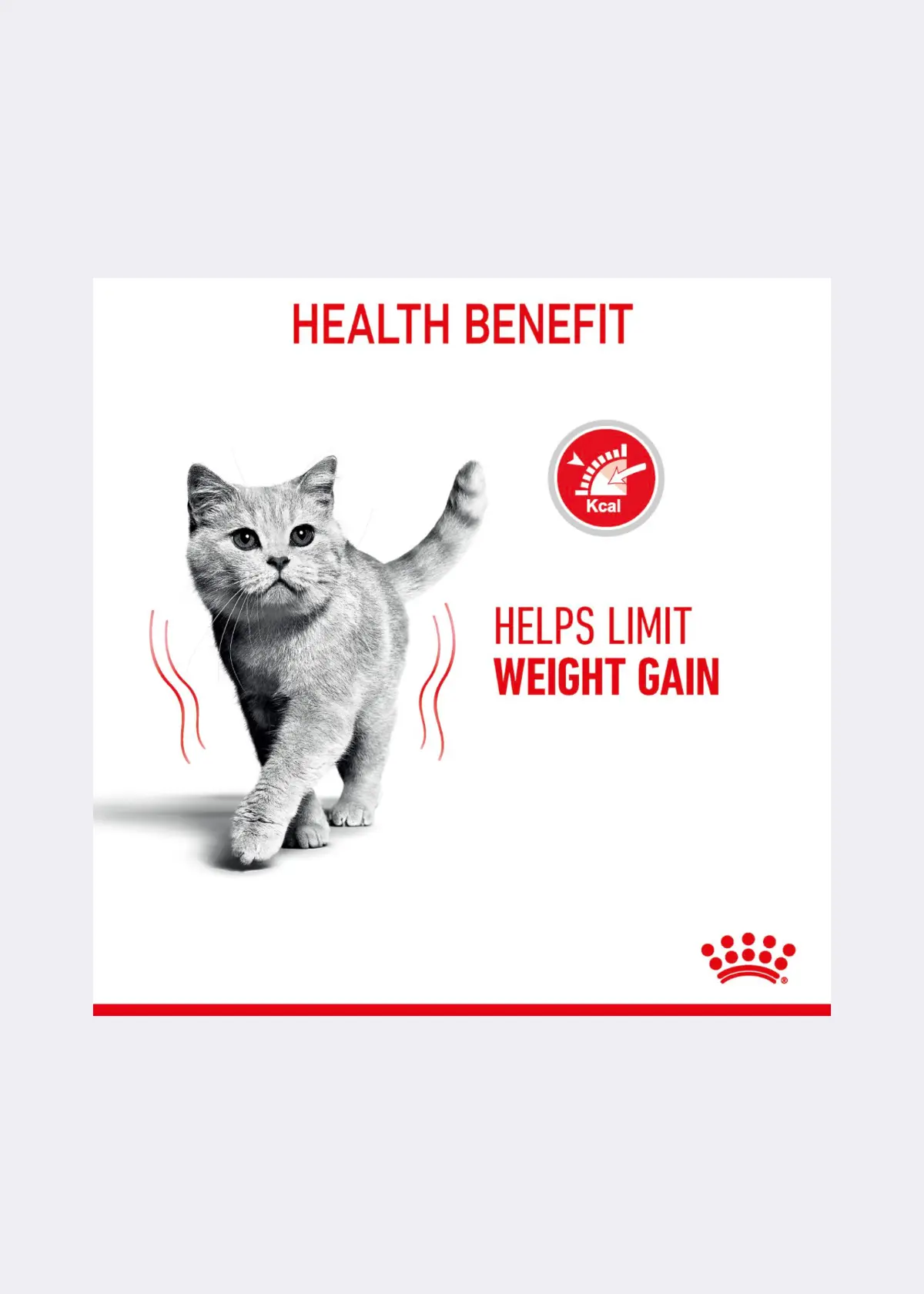 Royal Canin® Feline Ultra Light Care Cat Food in Gravy 85g