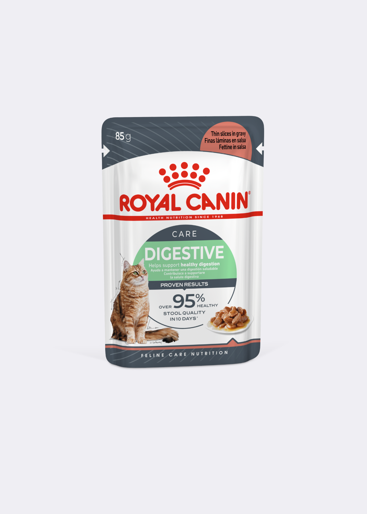 Royal Canin Feline Digestive Care Cat Food in Gravy 85g