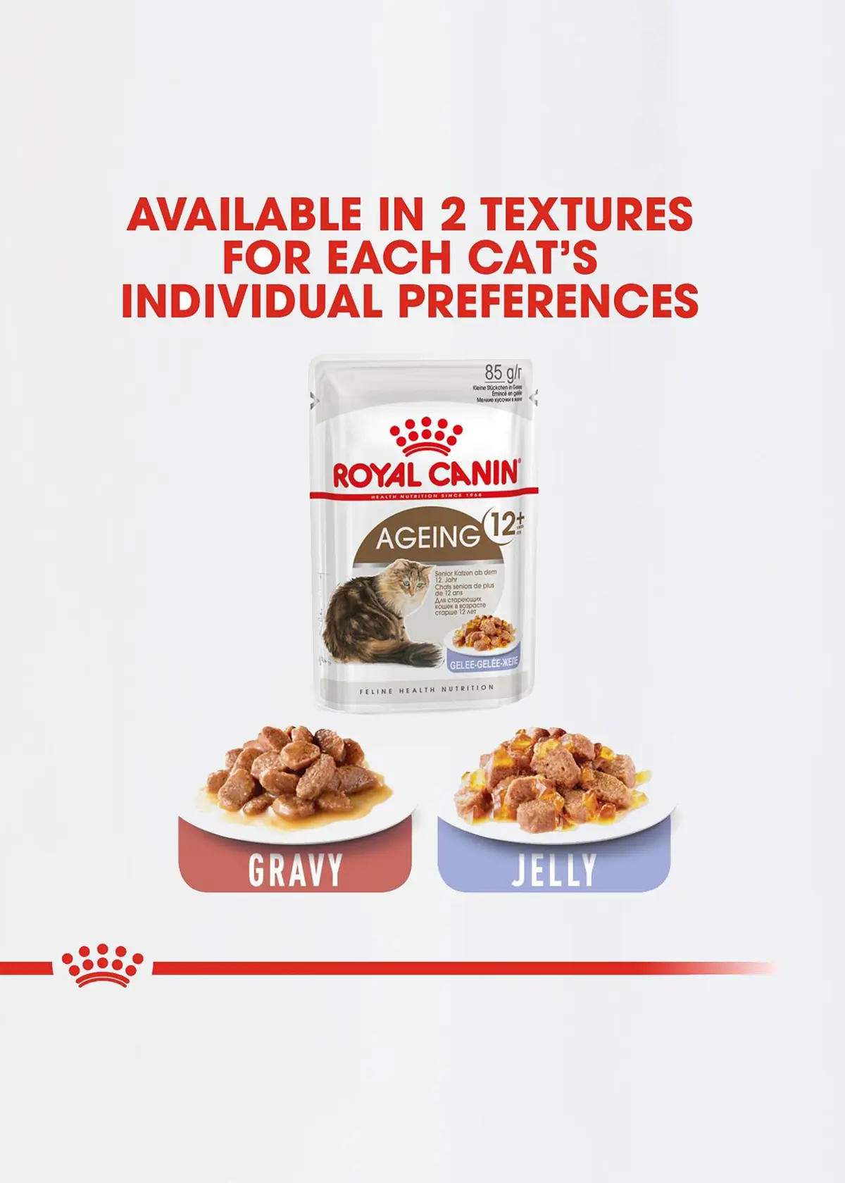 A photo of Royal Canin Ageing 12+ Cat Food in Jelly 85g