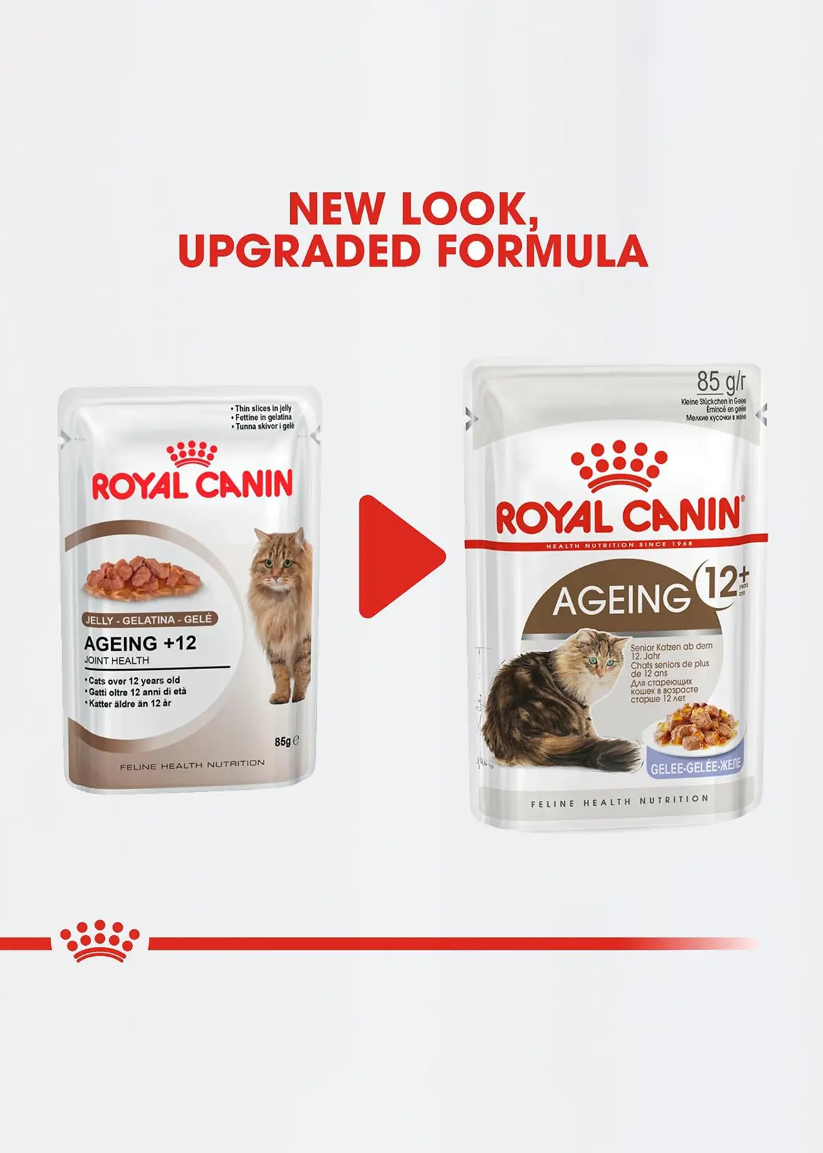 A photo of Royal Canin Ageing 12+ Cat Food in Jelly 85g