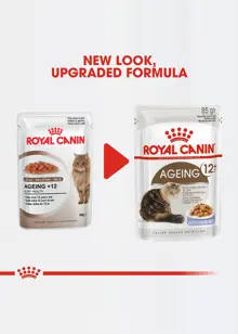 Royal Canin Ageing 12+ Cat Food in Jelly 85g
