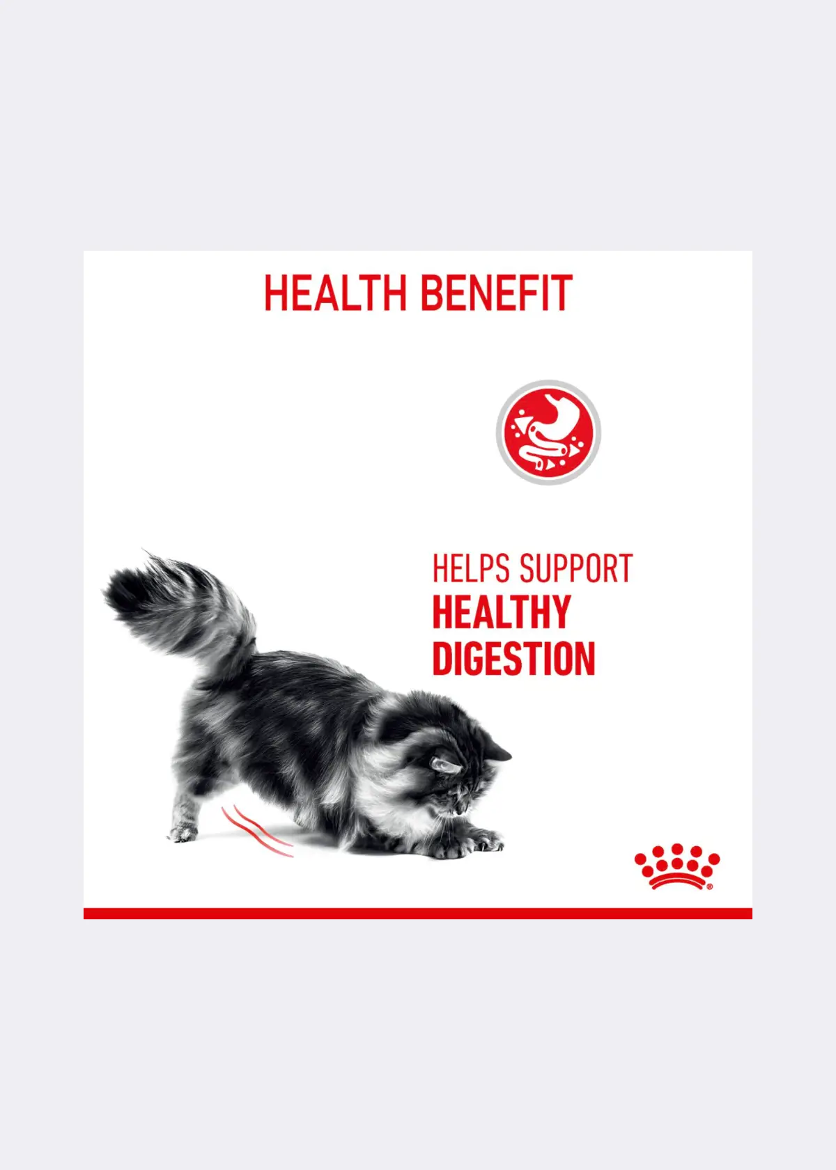 Royal Canin® Feline Digestive Care Dry Cat Food 2kg