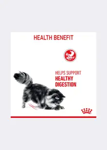 Royal Canin® Feline Digestive Care Dry Cat Food 2kg