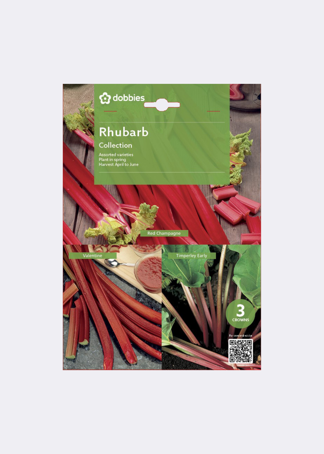 Dobbies Rhubarb Collection Pack of 3
