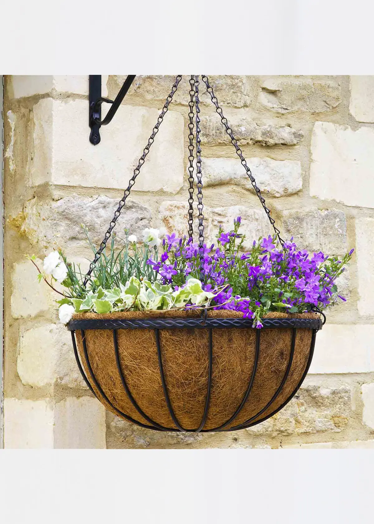 A photo of Saxon Hanging Basket 12in