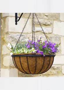 Saxon Hanging Basket 12in