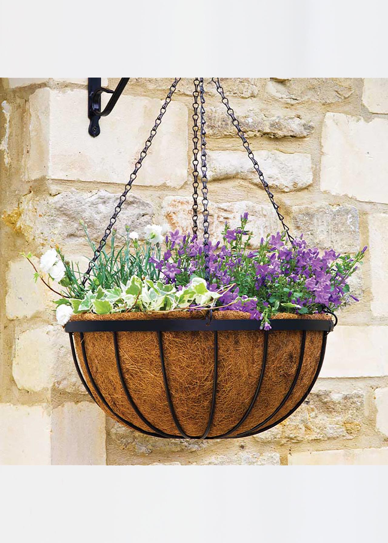 Saxon Hanging Basket 14in