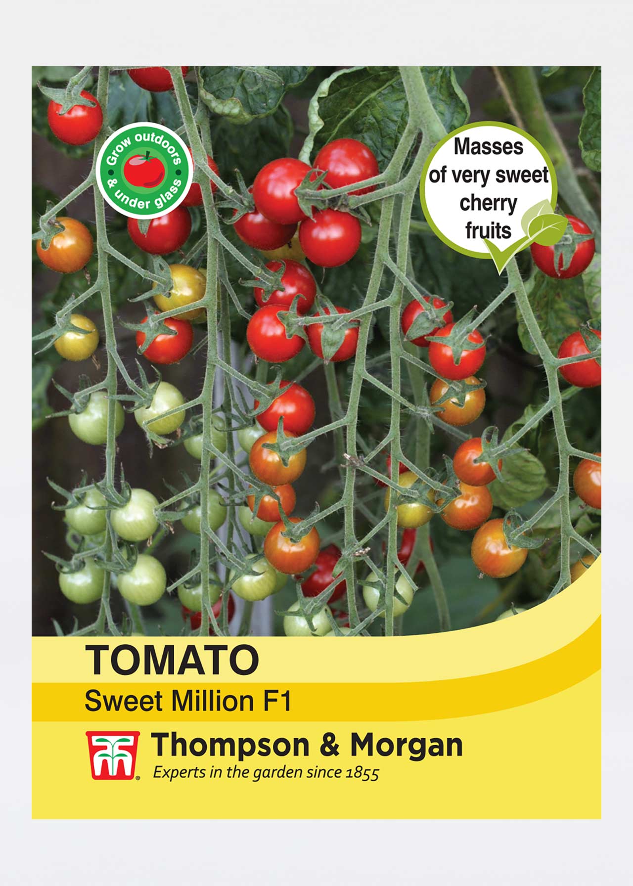 Tomato Sweet Million F1 Hybrid Seeds Dobbies Garden Centres