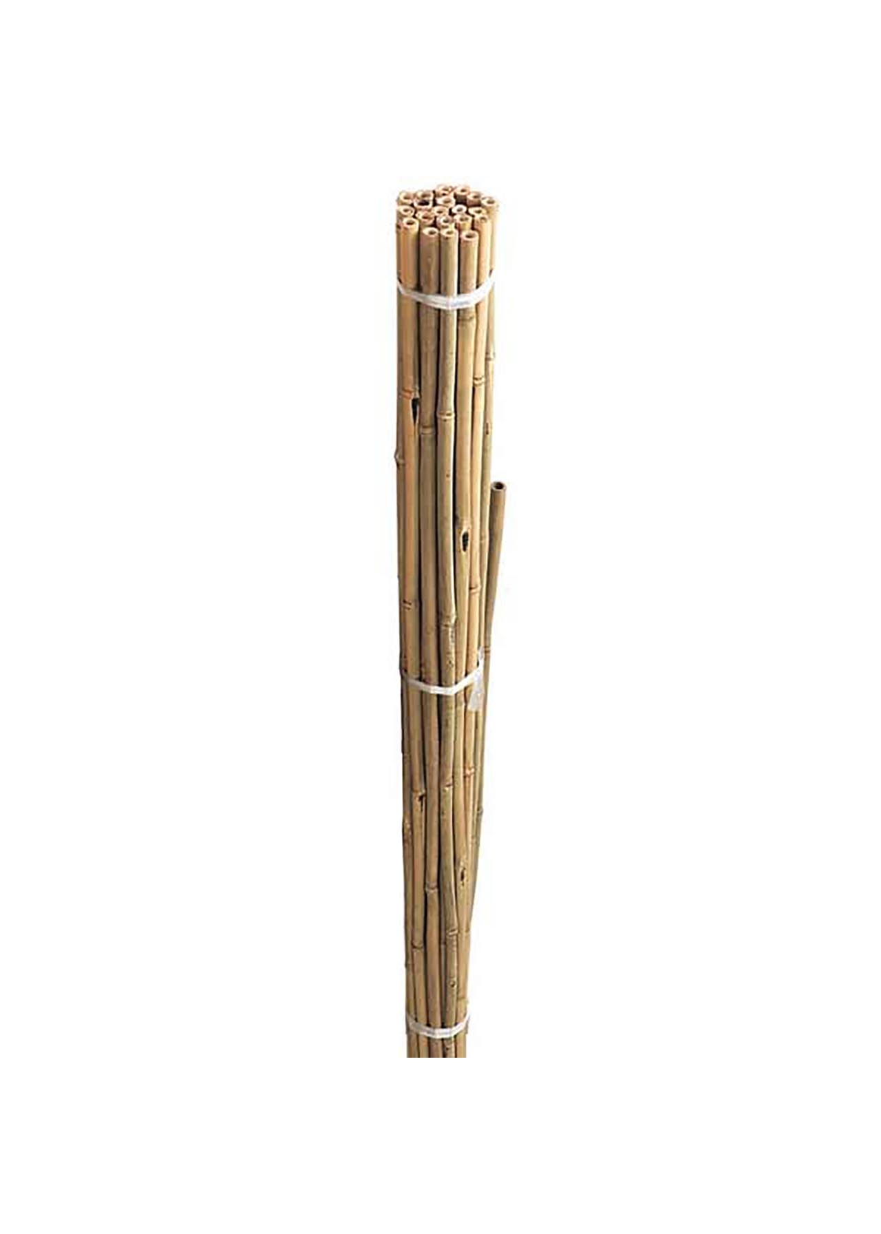 Bamboo Garden Canes 8ft | Fasci Garden