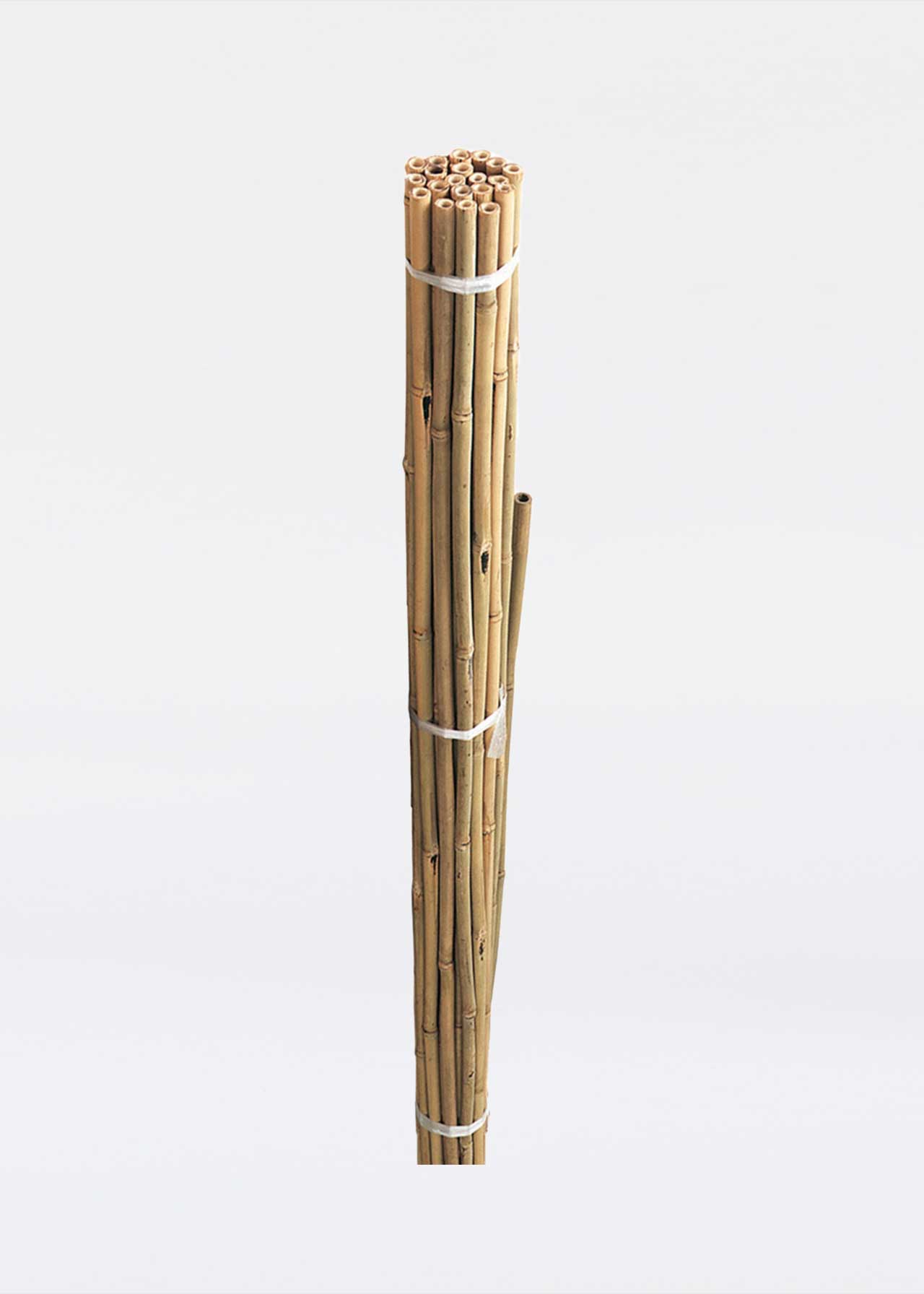 Pre-Bulk Bamboo Canes 2.1m Pack Of 10
