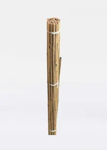 2.1m Bamboo Canes (10)
