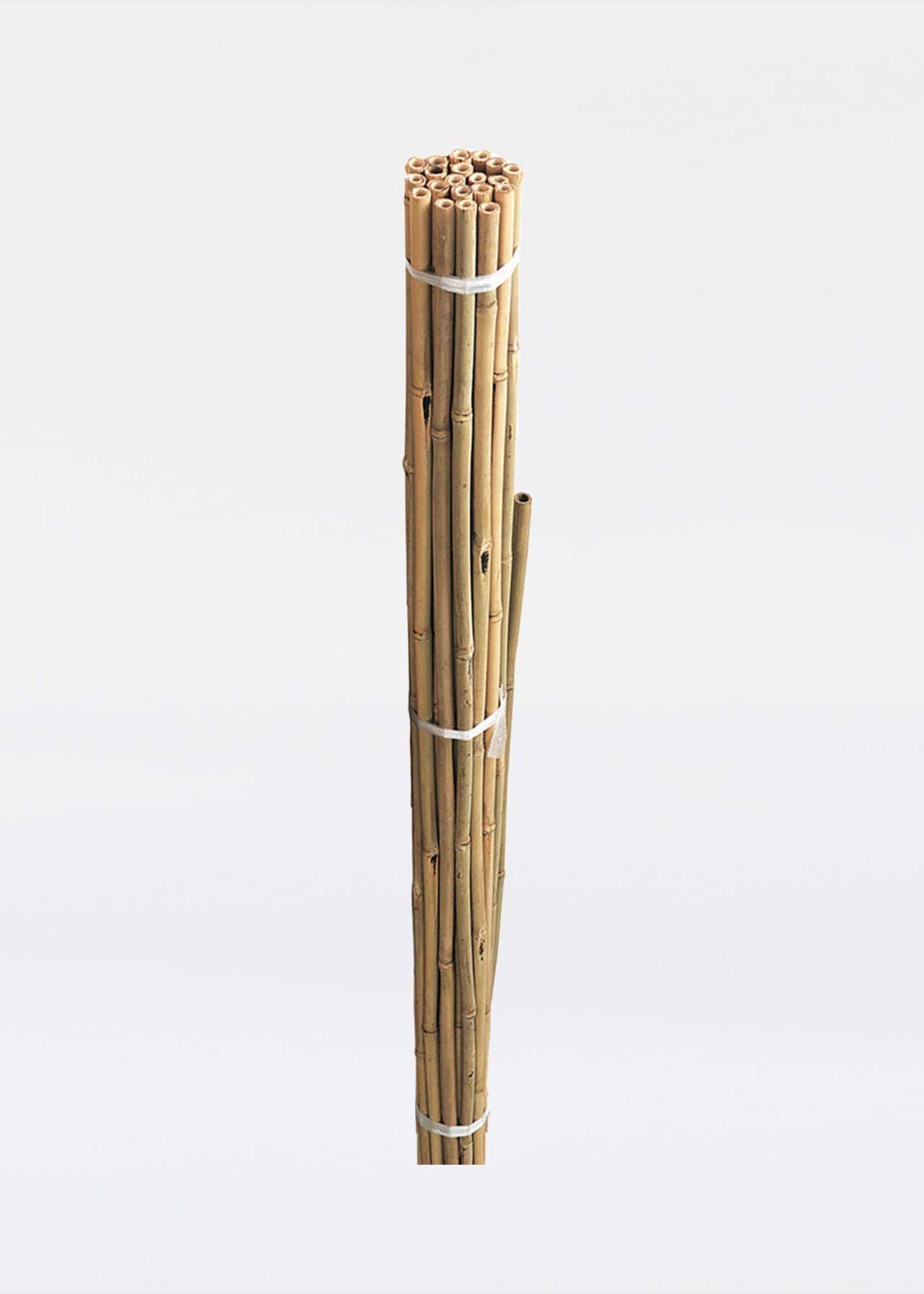 Pre-Bulk Bamboo Canes 2.1m Pack Of 10