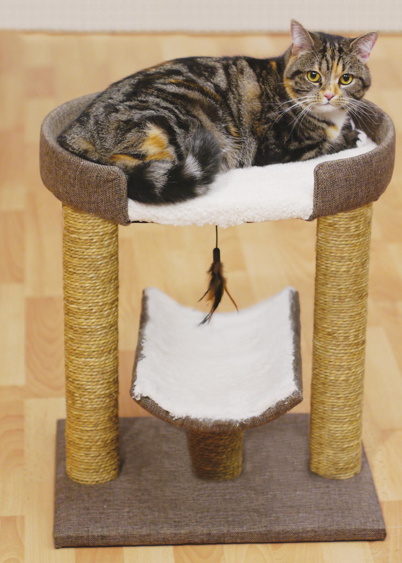 Rosewood Saffron Cat Scratching Post Bed Dobbies Garden Centres