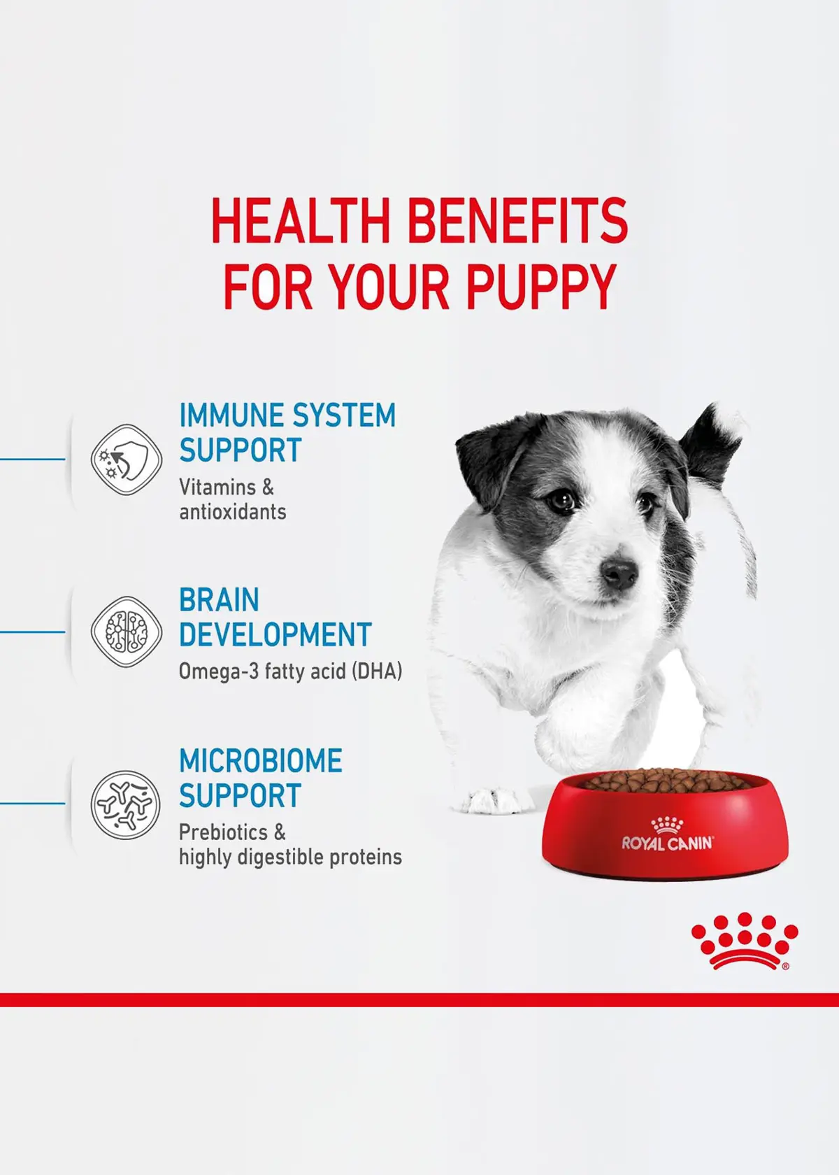 A photo of Royal Canin Mini Puppy Dry Dog Food 2kg