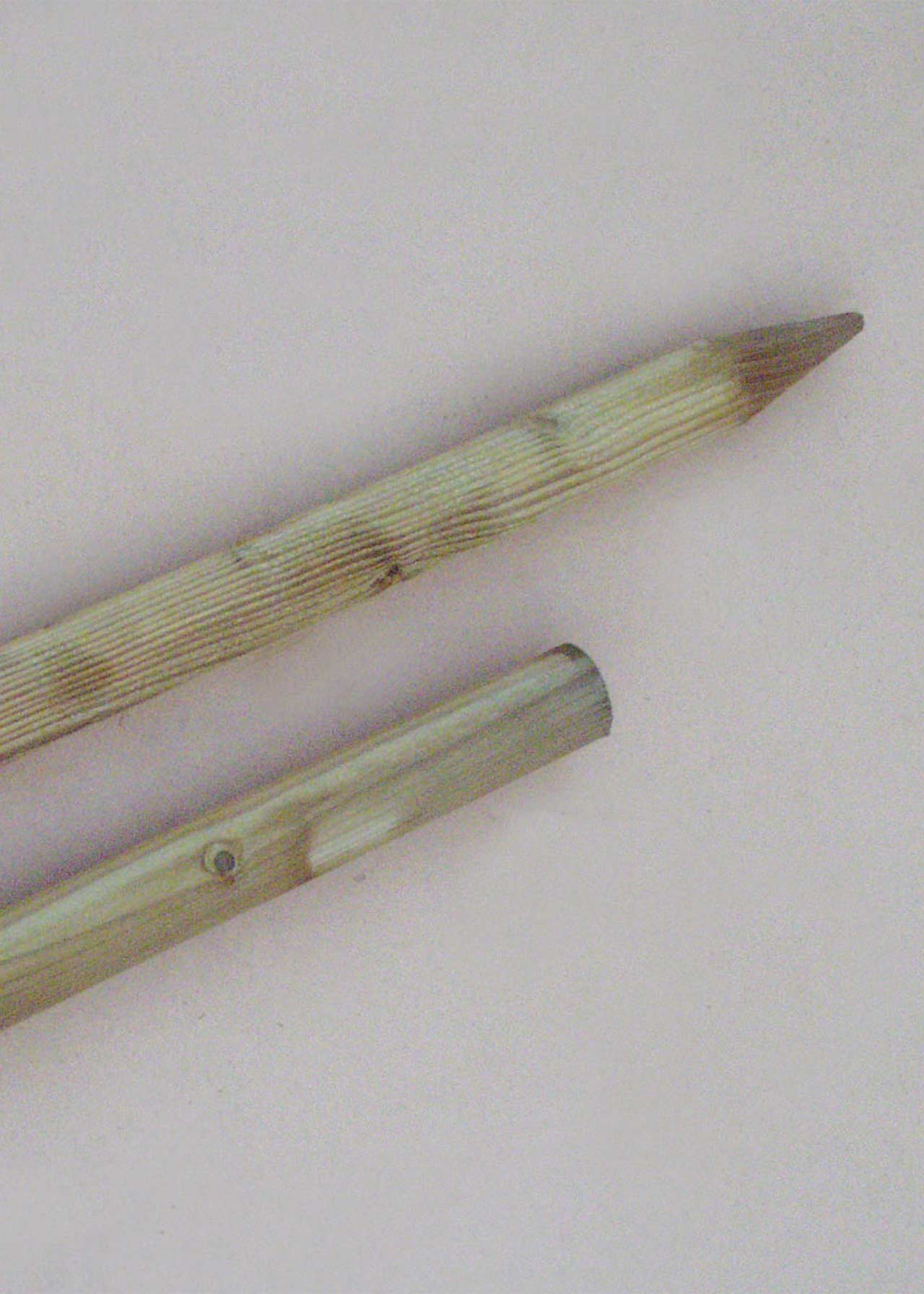 150cm Softwood Tree Stake
