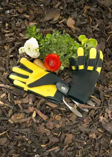 Soft Touch Ladies Gardening Gloves