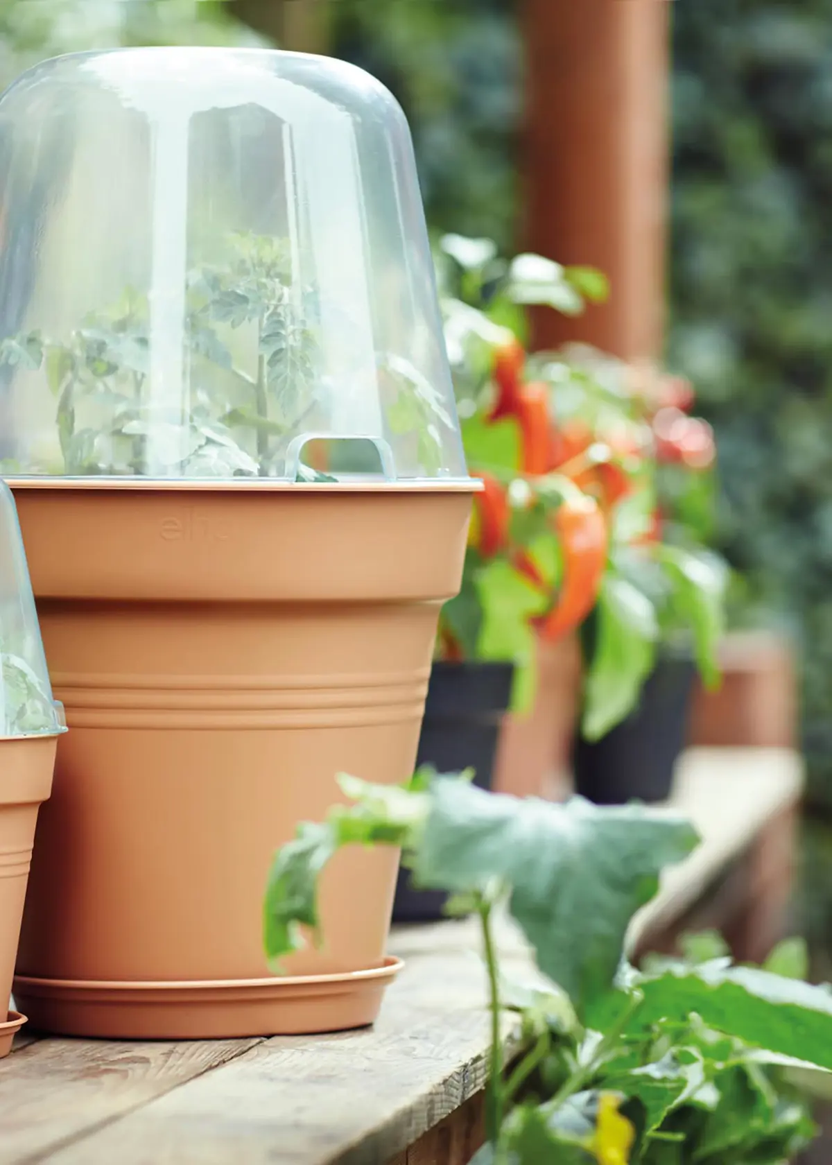 A photo of Elho Green Basics Growpot 30cm Terra