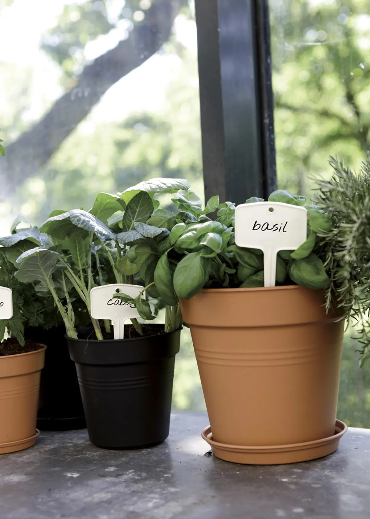 A photo of Elho Green Basics Growpot 30cm Terra