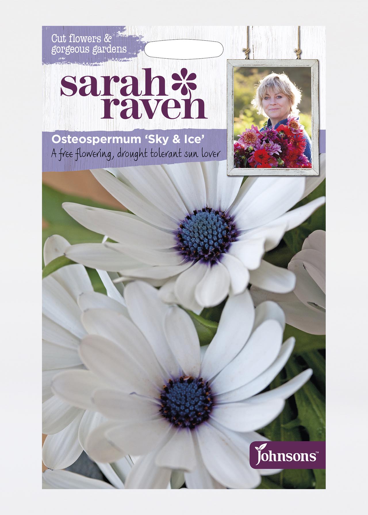 Osteospermum Sky & Ice Seeds