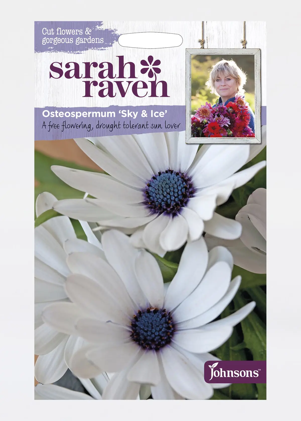 A photo of Osteospermum Sky & Ice Seeds