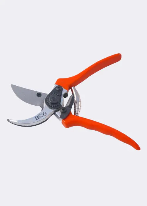 RHS Bypass Secateur