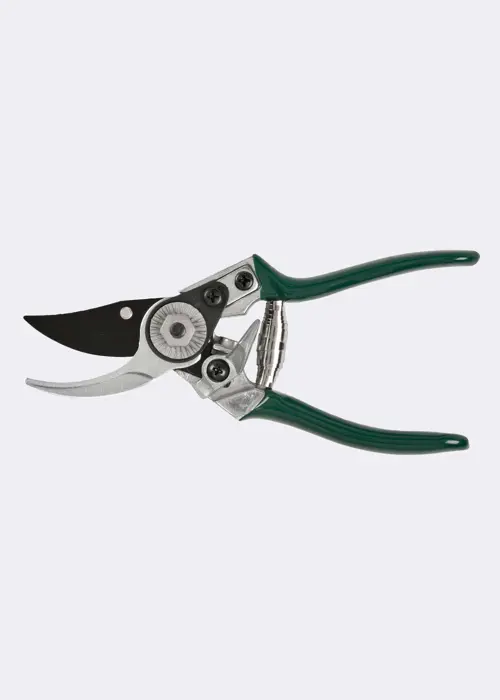 RHS Pocket Pruner Green