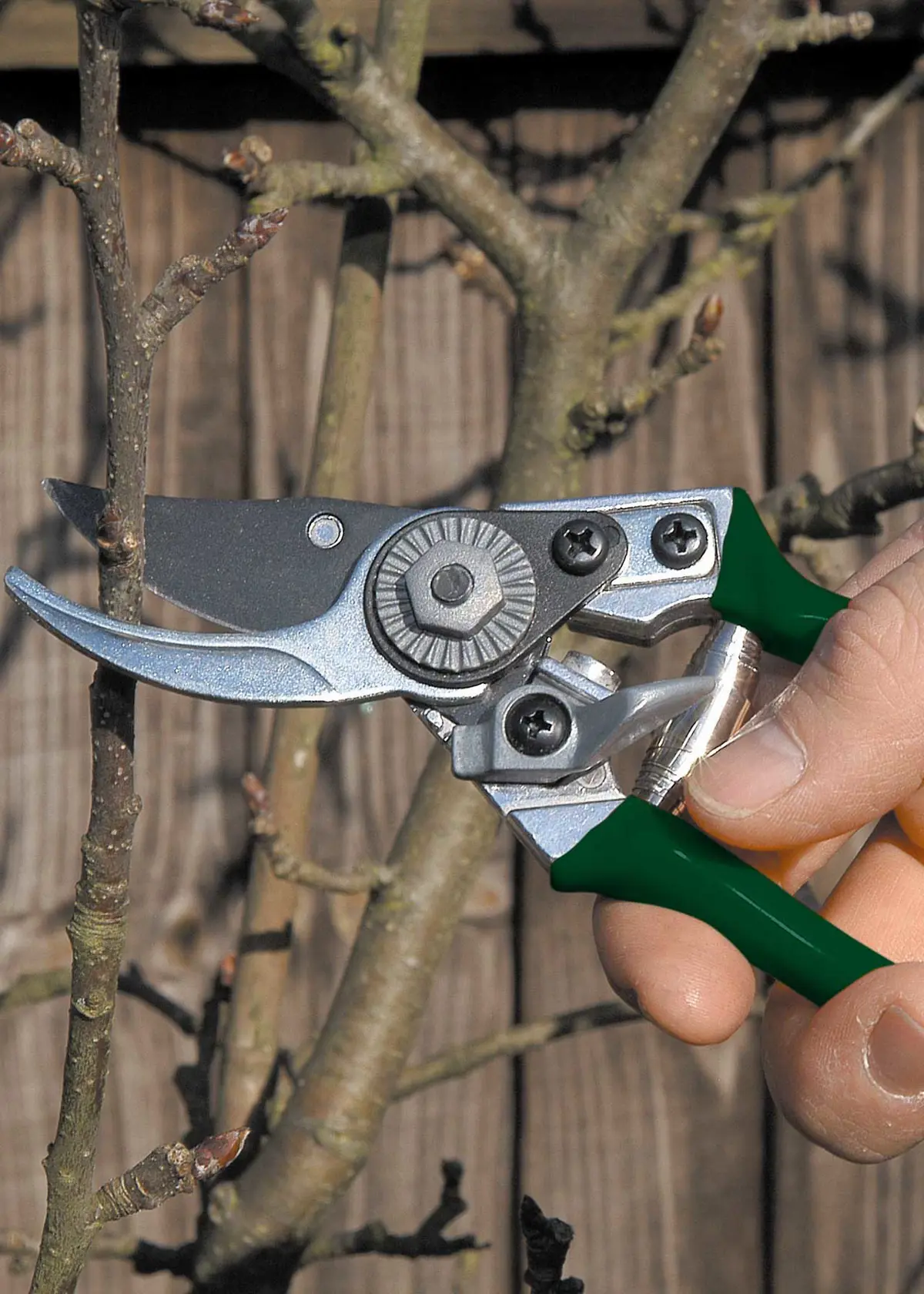 A photo of RHS Pocket Pruner Green