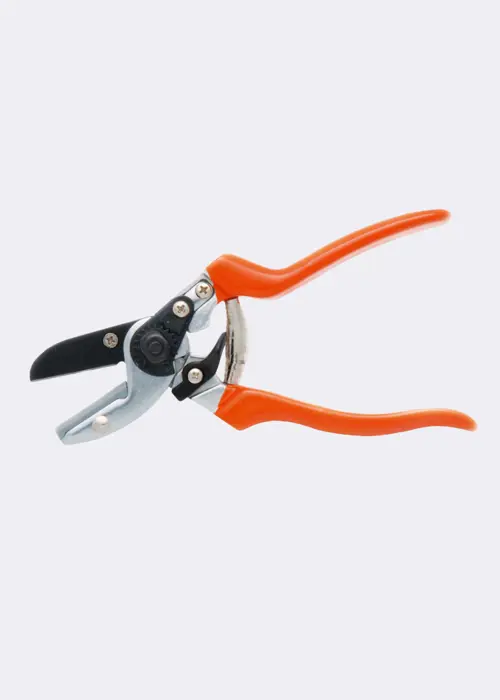 RHS Anvil Secateur