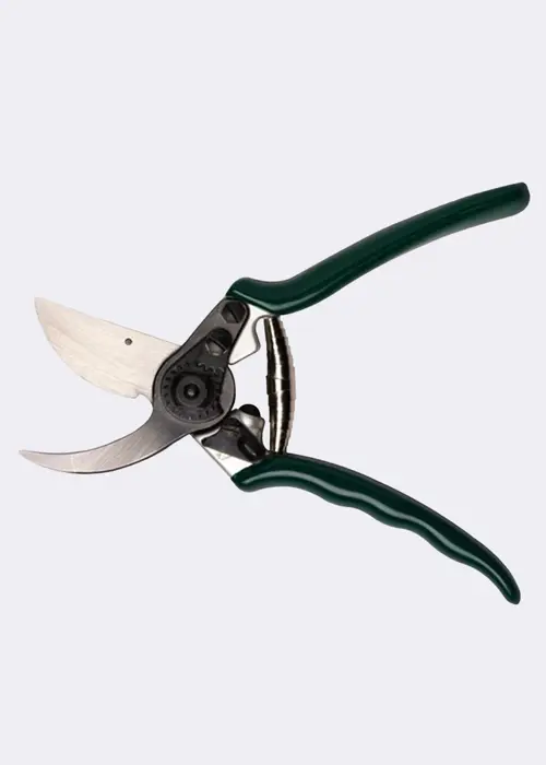 RHS Professional Bypass Secateur