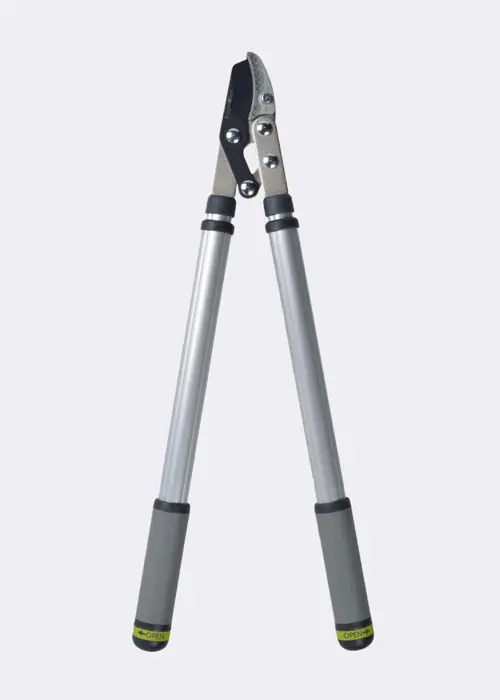 RHS Telescopic Handled Anvil Lopper