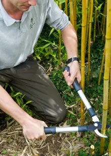 RHS Mini Bypass Lopper